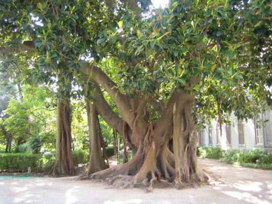 Nationaal natuurhistorisch museum